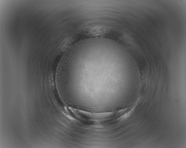 X0000060760182200511101149