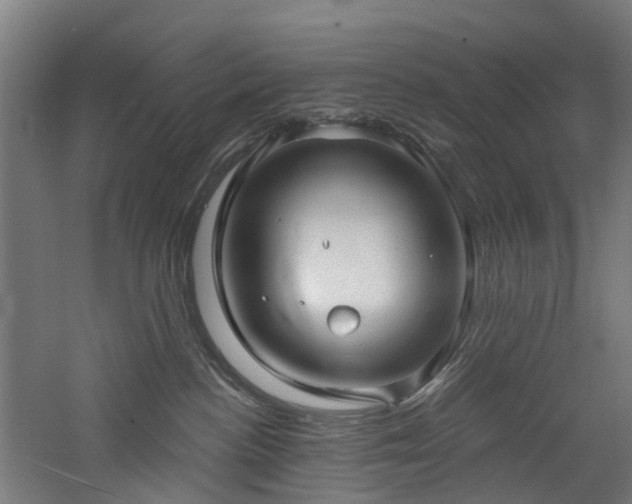 X0000060760188200511101150