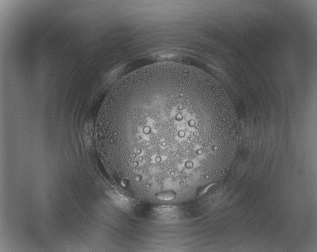 X0000060760189200511101150