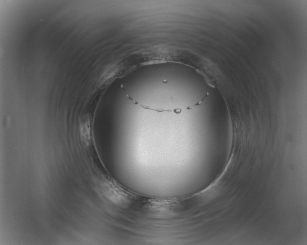 X0000060760190200511101150