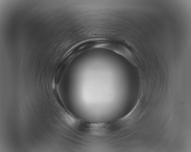 X0000060760192200511101150