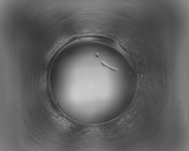 X0000060760194200511101149