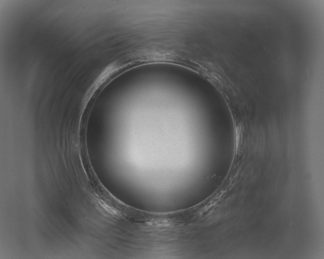 X0000060760195200511101149