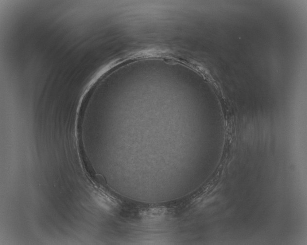 X0000060760196200511101149