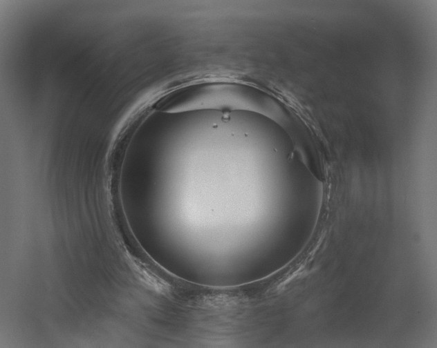 X0000060760197200511101149