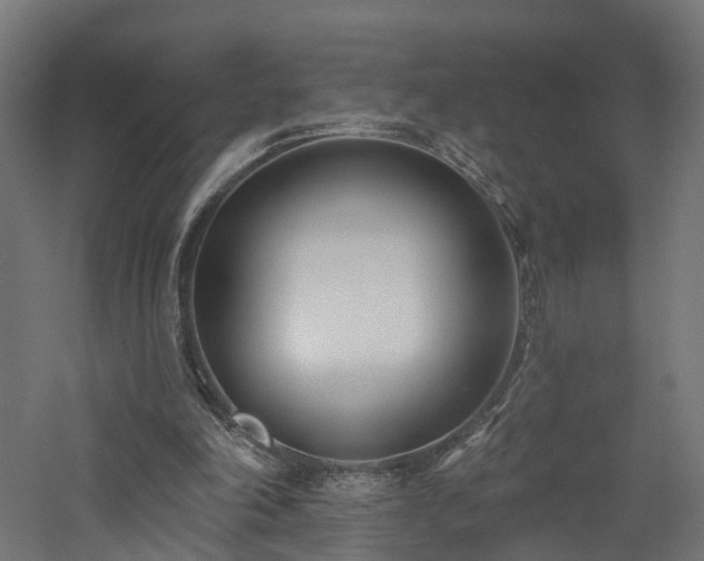 X0000060760198200511101149