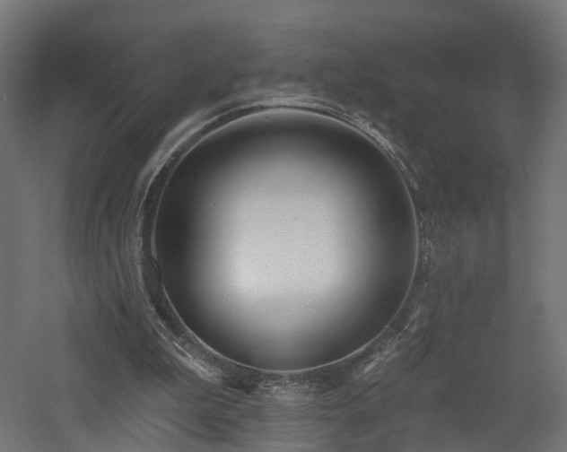 X0000060760199200511101149