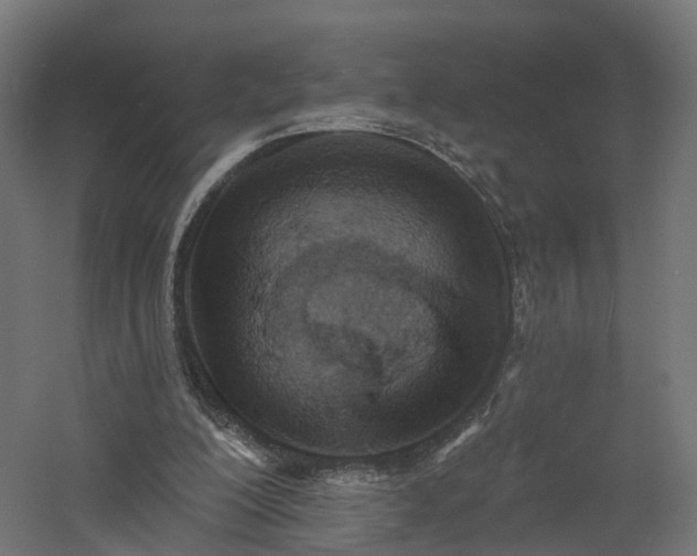 X0000060760200200511101149