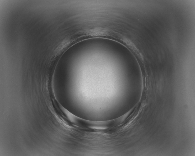 X0000060760201200511101149