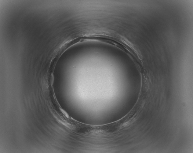 X0000060760203200511101149