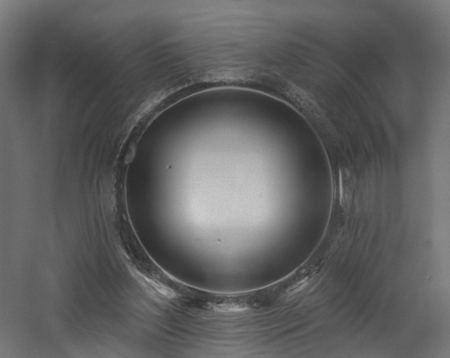 X0000060760204200511101149