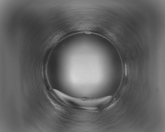 X0000060760205200511101149