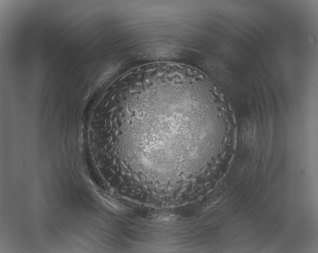 X0000060760206200511101149