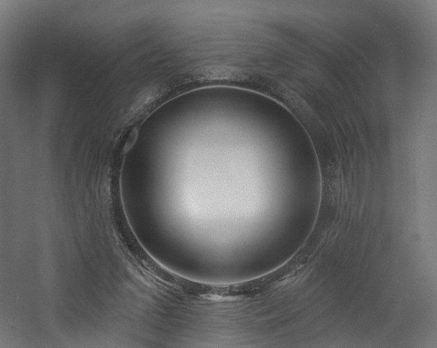 X0000060760207200511101149