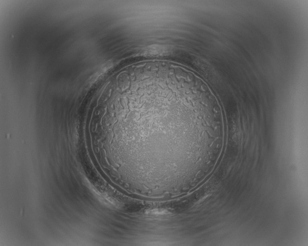 X0000060760208200511101149