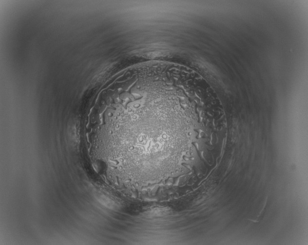 X0000060760210200511101149