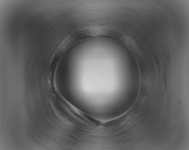 X0000060760214200511101148