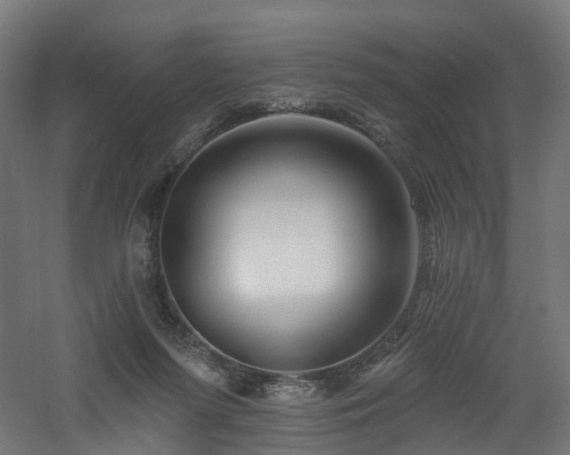 X0000060760215200511101148