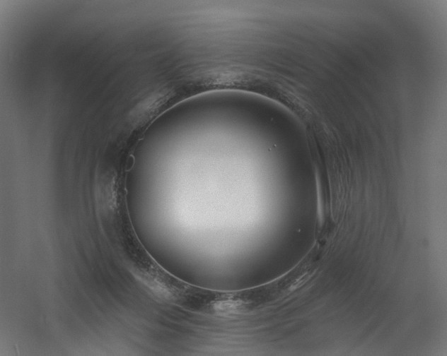 X0000060760216200511101148