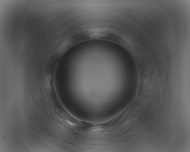 X0000060760219200511101148