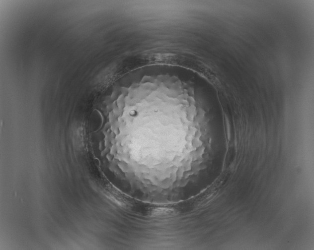 X0000060760222200511101148