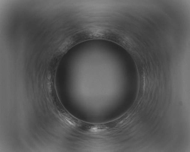 X0000060760223200511101148