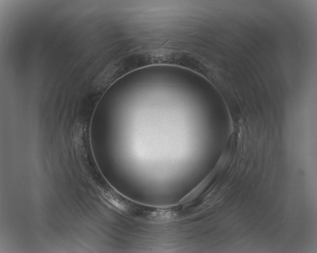 X0000060760225200511101148