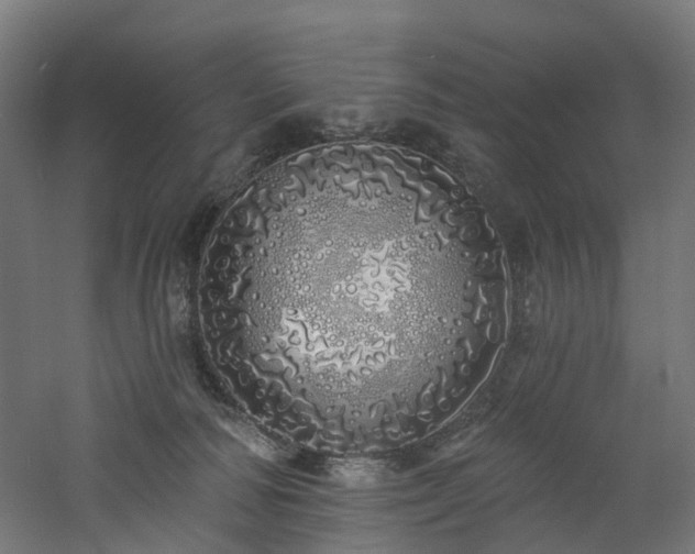 X0000060760226200511101148