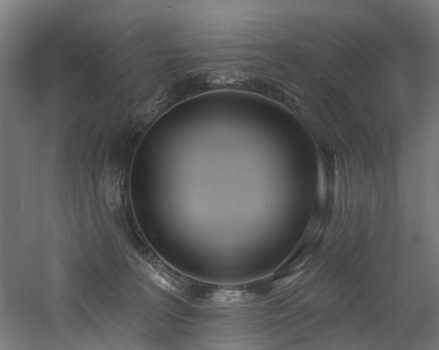 X0000060760227200511101148