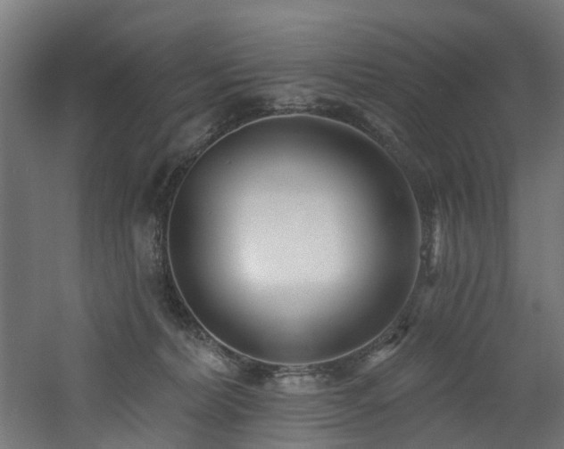 X0000060760228200511101148