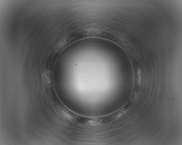 X0000060760232200511101148