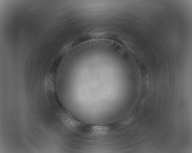 X0000060760234200511101148