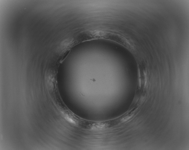 X0000060760235200511101148