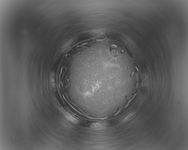 X0000060760238200511101148