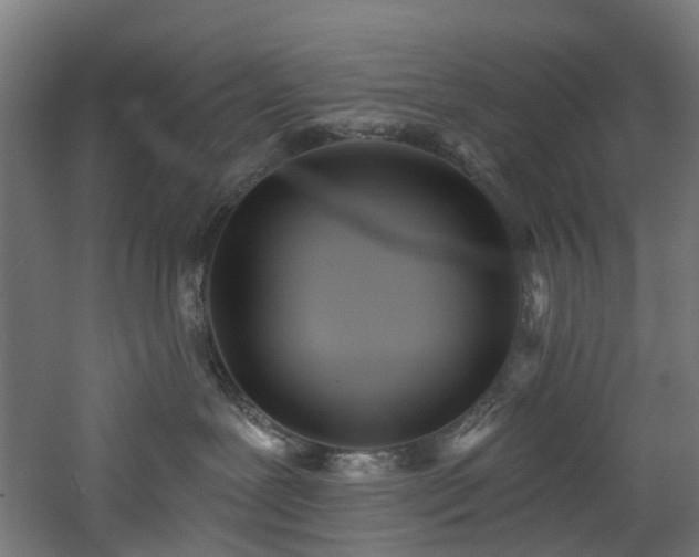 X0000060760239200511101148