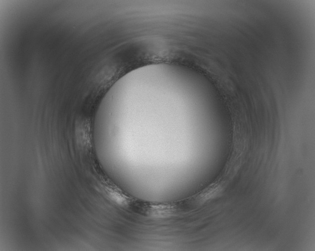 X0000060760240200511101148