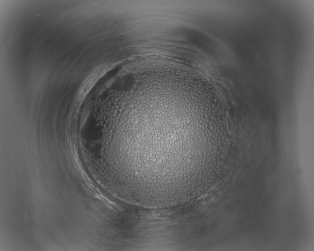 X0000060760241200511101147