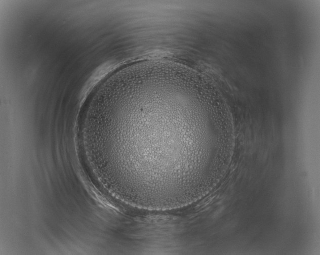 X0000060760242200511101147