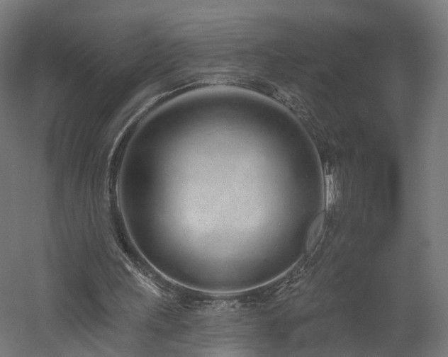 X0000060760243200511101147