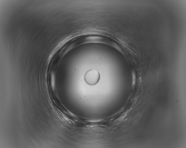 X0000060760244200511101147