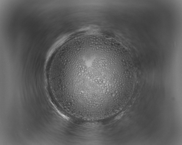 X0000060760245200511101147