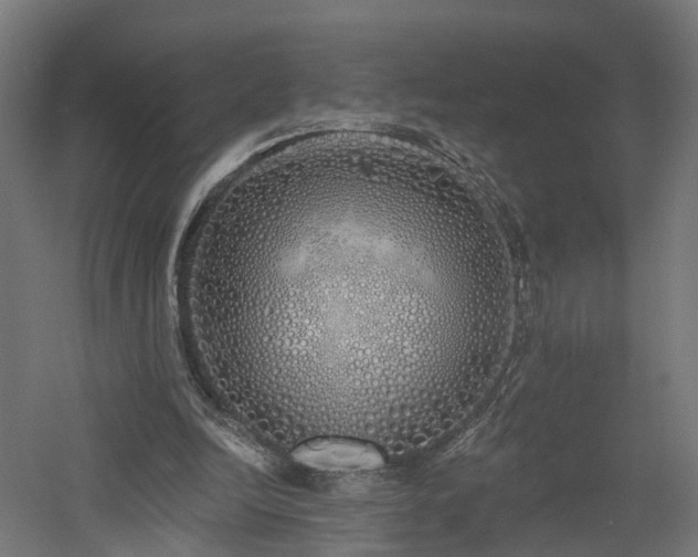 X0000060760246200511101147