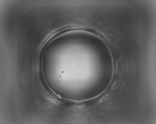 X0000060760247200511101147