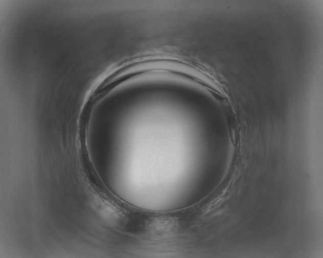 X0000060760248200511101147