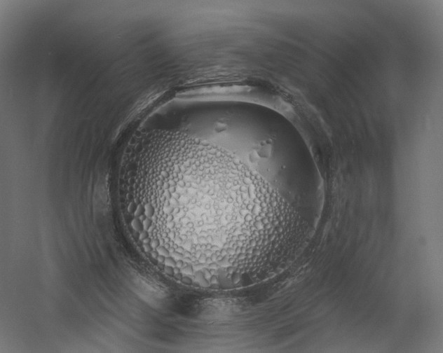 X0000060760250200511101147