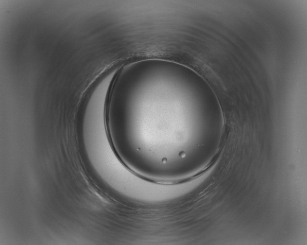 X0000060760251200511101147