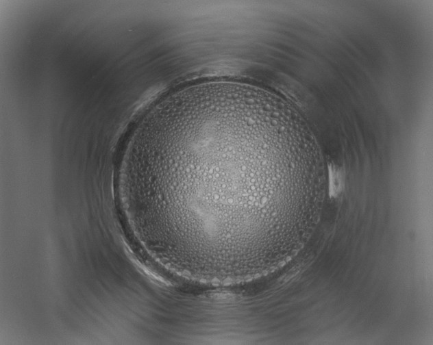 X0000060760253200511101147