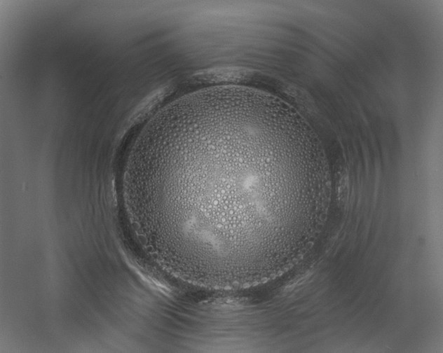 X0000060760254200511101147