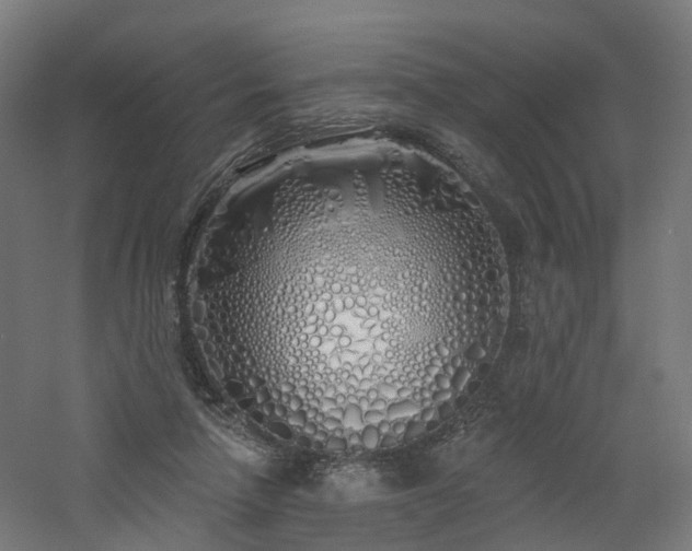 X0000060760258200511101148