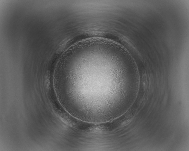 X0000060760259200511101148